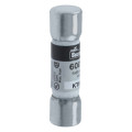 Limitron fast acting fuse 