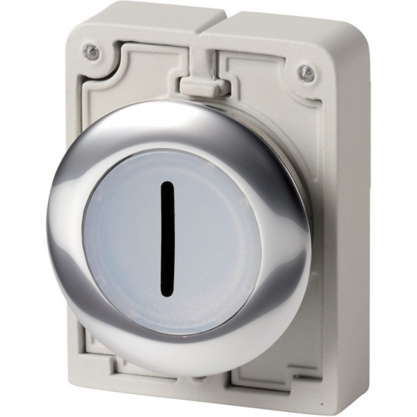 Bouton poussoir lumineux, 30mm, flush, à accroch blanc, avec inscription  (M30C-FDRL-W-X1) - Eaton - 182935