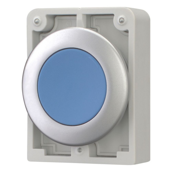 Bouton poussoir, 30mm, flush, à accroch bleu, sans inscription (M30C-FDR-B) - Eaton - 182947