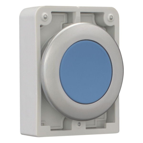 Bouton poussoir, 30mm, flush, à accroch bleu, sans inscription (M30C-FDR-B) - Eaton - 182947