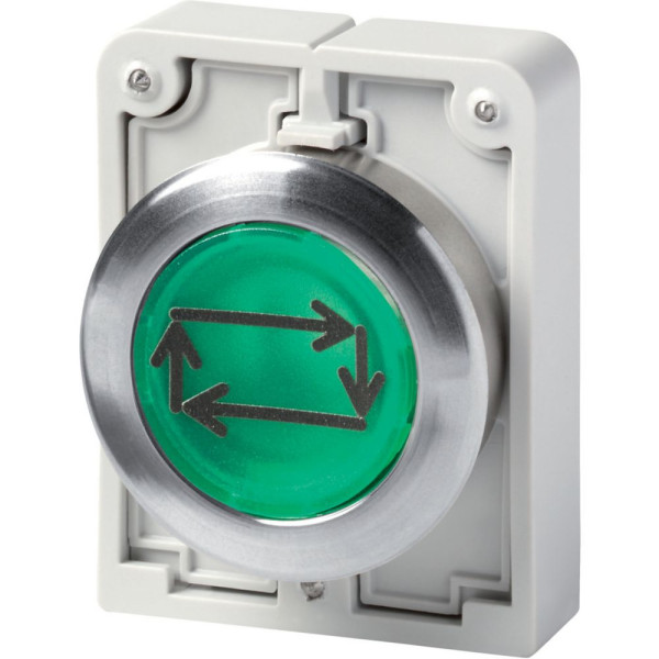 Bouton poussoir lumineux, 30mm, flush, a rappel,vert, avec inscription  (M30C-FDL-G-X32) - Eaton - 182968
