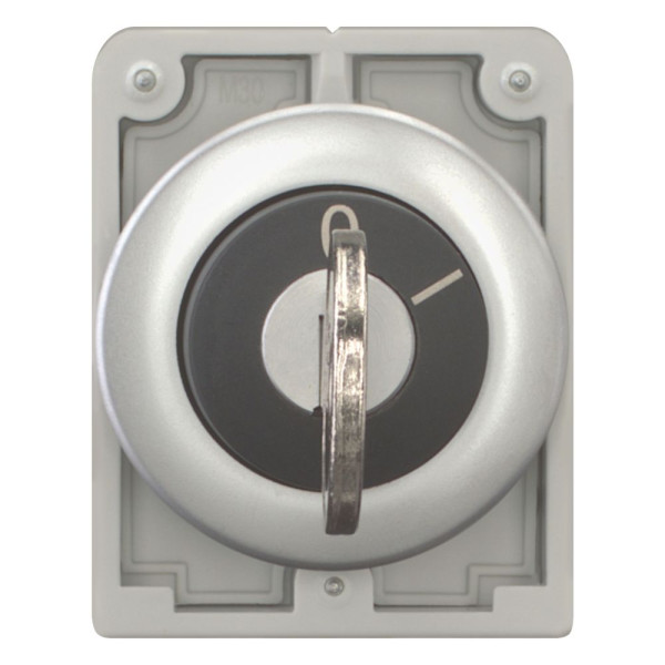 Commut-clé, 30mm, non compatibl serrures combin- multi, 2 pos, a rappel,ms2 (M30C-FWS-MS2) - Eaton - 187073