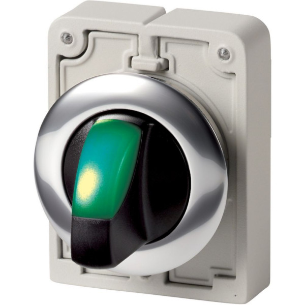 Commut rotatif lumineux, 30mm, à manette, vert, 2 positions (v), à accroch (M30C-FWLKV-G) - Eaton - 187124