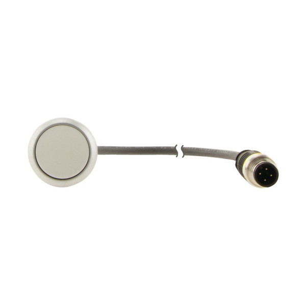Bouton-poussoir affleurant; à rappel; blanc; 1 no; câble 1m et connecteur m12a (C22-D-W-K10-P5) - Eaton - 181047