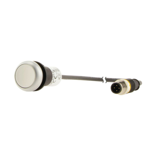 Bouton-poussoir affleurant; à rappel; blanc; 1 no; câble 1m et connecteur m12a (C22-D-W-K10-P5) - Eaton - 181047
