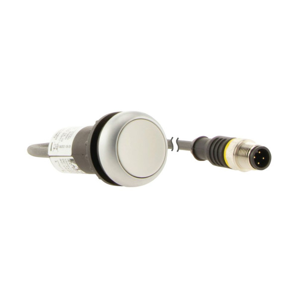 Bouton-poussoir affleurant; à rappel; blanc; 1 no; câble 1m et connecteur m12a (C22-D-W-K10-P5) - Eaton - 181047