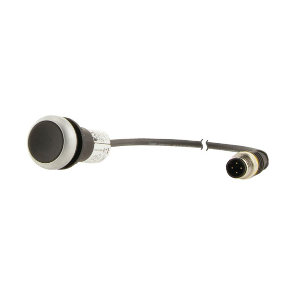 Bouton-poussoir affleurant; à accroch; noir; 1 nc; câble 0,5m + connecteur m12a (C22-DR-S-K01-P3) - Eaton - 181612