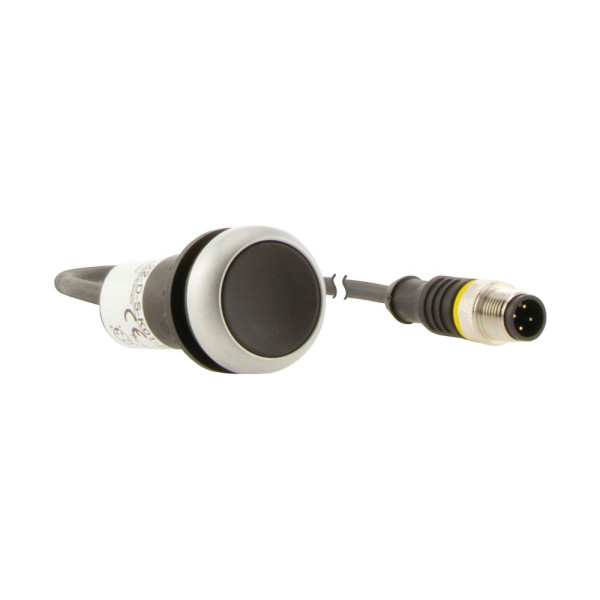 Bouton-poussoir affleurant; à accroch; noir; 1 nc; câble 0,5m + connecteur m12a (C22-DR-S-K01-P3) - Eaton - 181612