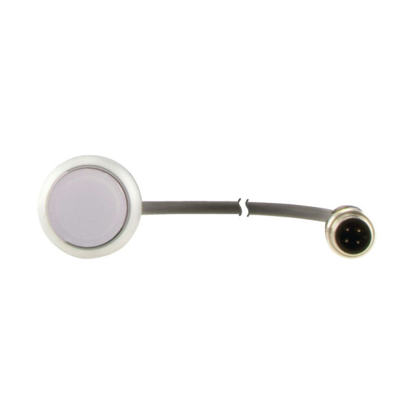 Bouton-poussoir lumin; à rappel; blanc; 24 v; 1 no; câble 0,5m + connecteur m12a (C22-DL-W-K10-24-P3) - Eaton - 181627