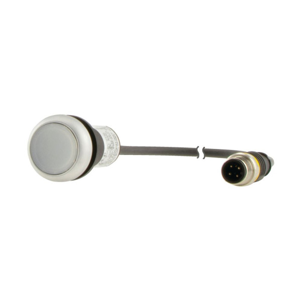 Bouton-poussoir lumin; à rappel; blanc; 24 v; 1 no; câble 0,5m + connecteur m12a (C22-DL-W-K10-24-P3) - Eaton - 181627