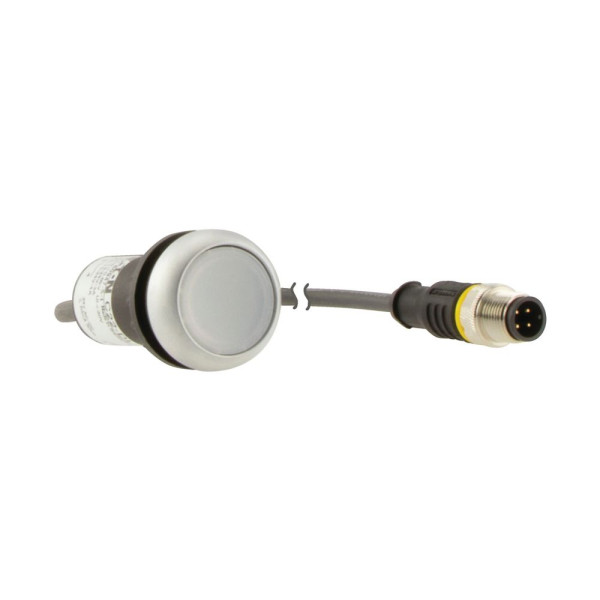 Bouton-poussoir lumin; à rappel; blanc; 24 v; 1 no; câble 0,5m + connecteur m12a (C22-DL-W-K10-24-P3) - Eaton - 181627