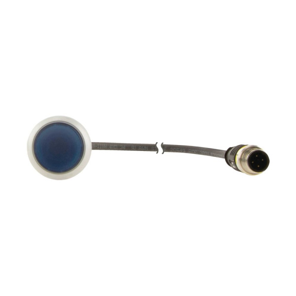 Bouton-pous.lum.,24v,1f,bleu,0,2m,m12a  (C22-DRL-B-K10-24-P1) - Eaton - 185557