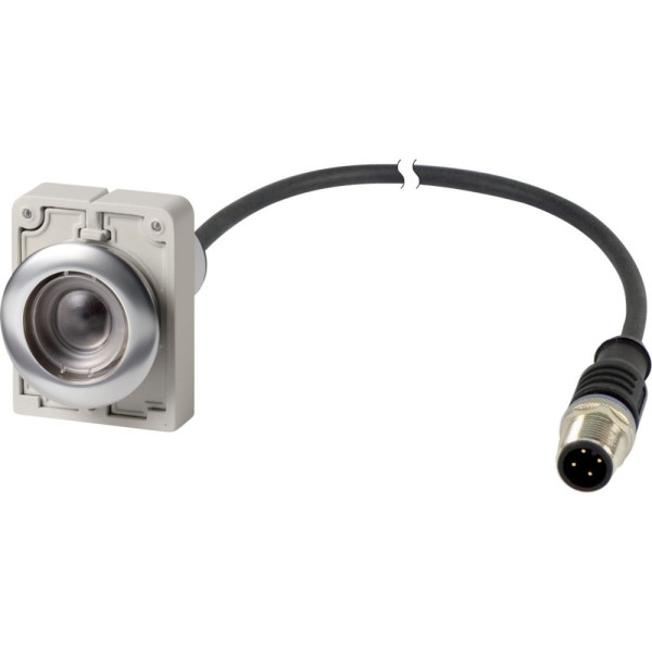 Bouton-poussoir, à accrochage, 1 n/c, cable et connecteur m12a, 4-pole, 1 m (C30C-FDR-X-K01-P5)