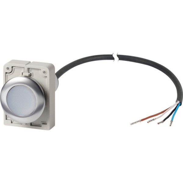 Bouton-poussoir, à rappel, 1 n/o, blanc, cable extrémité ouverte, 4-pole, 1 m (C30C-FD-W-K10-P62) - Eaton - 186048