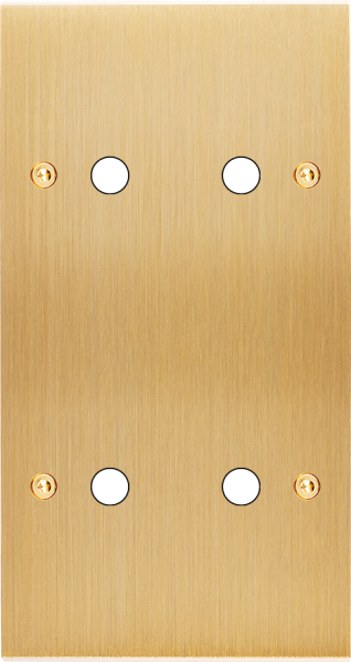 Façade Confidence Laiton double verticale 4 PUSH à vis (164-410) - Modelec - 164410