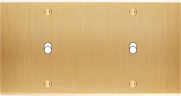 Façade Confidence Laiton double horizontale 2 basculeurs à vis (172-410) - Modelec - 172410