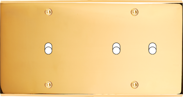 Façade Confidence Laiton  Or Miroir double horizontale 1 basculeur 2 basculeurs à vis (177-421) - Modelec - 177421