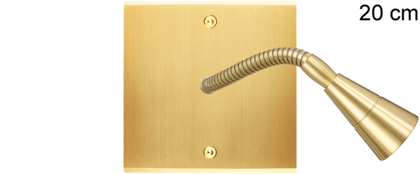 Façade Confidence Laiton Satiné simple Liseuse 20 (212-419) - Modelec - 212419