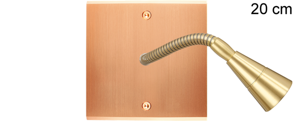 Façade confidence laiton cuivre satiné simple liseuse 20