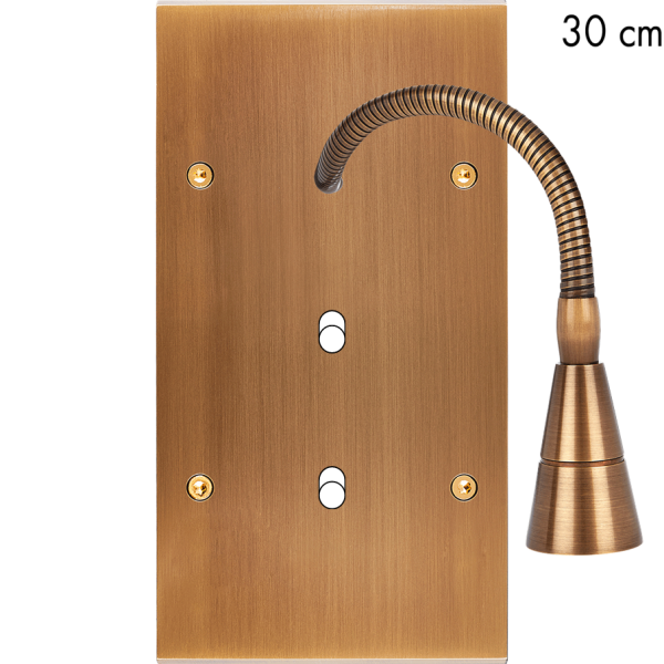 Façade Confidence Laiton  Vieux Bronze double verticale 2 basculeurs + Liseuse 30 (243-417) - Modelec - 243417