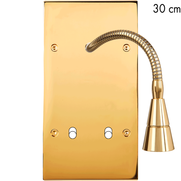 Façade Confidence Laiton  Or Miroir double verticale 2 basculeursx + Liseuse 30 (244-421) - Modelec - 244421