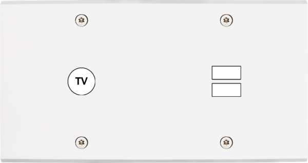 Façade confidence laiton blanc mat double horizontale 1 tv ouverture pour chargeur double usb à vis