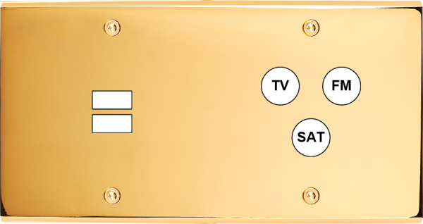 Façade confidence laiton or miroir double horizontale ouverture pour chargeur double usb 1 tv-fm-sat à vis