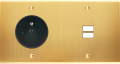 Façade confidence laiton satiné double horizontale prise de courant 2p+t ouverture pour chargeur double usb à vis - Modelec - 259419 Façade confidence laiton satiné double horizontale prise de courant 2p+t ouverture pour chargeur double usb à vis - Modelec - 259419