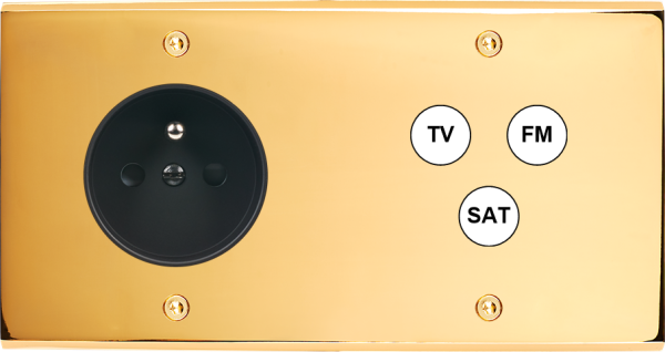 Façade Confidence Laiton  Or Miroir double horizontale PC TV-FM-SAT à vis (265-421)