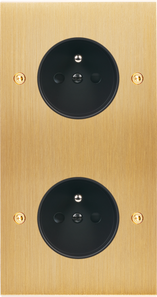 Façade Confidence Laiton double verticale PC PC à vis (280-410)