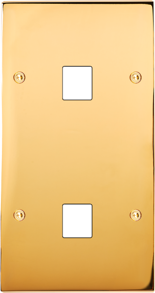 Façade Confidence Laiton  Or Miroir double verticale 1 MEDIA 1 MEDIA à vis (286-421) - Modelec - 286421