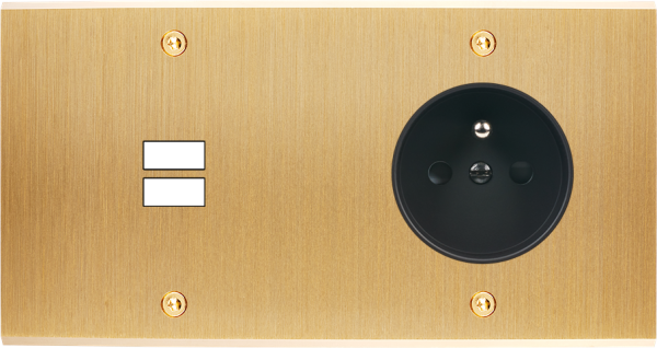 Façade confidence laiton brossé double horizontale ouverture pour chargeur double usb prise de courant 2p+t à vis - Modelec - 295410