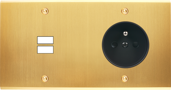 Façade confidence laiton satiné double horizontale ouverture pour chargeur double usb prise de courant 2p+t à vis - Modelec - 295419