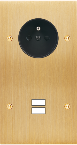 Façade confidence laiton brossé double verticale prise de courant 2p+t ouverture pour chargeur double usb à vis - Modelec - 299410