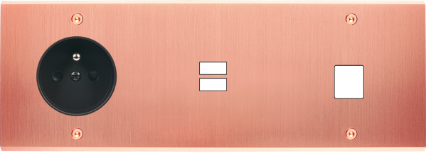 Façade confidence laiton cuivre satiné triple horizontale prise de courant 2p+t ouverture pour chargeur double usb 1 média vis - Modelec - 335423