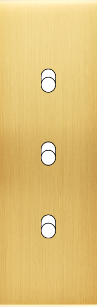 Façade Confidence Laiton Satiné étroite longue 3 basculeurs sans vis (103-419M) - Modelec - 103419M