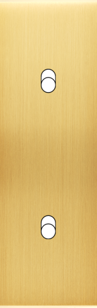 Façade Confidence Laiton Satiné étroite longue 2 basculeurs éloignés sans vis (104-419M) - Modelec - 104419M Façade Confidence Laiton Satiné étroite longue 2 basculeurs éloignés sans vis (104-419M) - Modelec - 104419M