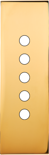 Façade Confidence Laiton  Or Miroir étroite longue 5 PUSH sans vis (125-421M) - Modelec - 125421M