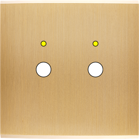 Façade confidence laiton brossé simple 2 boutons push+led magnétique