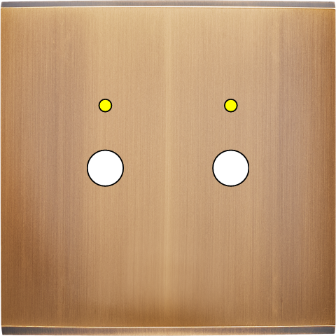 Façade confidence laiton vieux bronze simple 2 boutons push+led magnétique