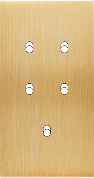 Façade Confidence Laiton Brossé double verticale 5 basculeurs sans vis (157-410M) - Modelec - 157410M