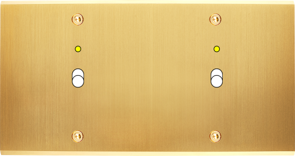 Façade confidence laiton satiné double horizontale 1 basculeur+led 1 basculeur+led à vis - Modelec - 172419-L