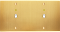 Façade confidence laiton satiné double horizontale 1 basculeur+led 1 basculeur+led à vis - Modelec - 172419-L