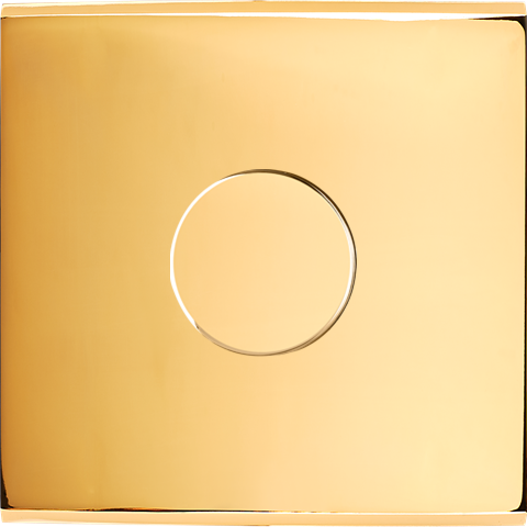 Façade Confidence Laiton  Or Miroir simple 1 variateur sans vis (191-421M)