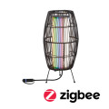 Panier extérieur plug + shine 40 rgbw zb ip44