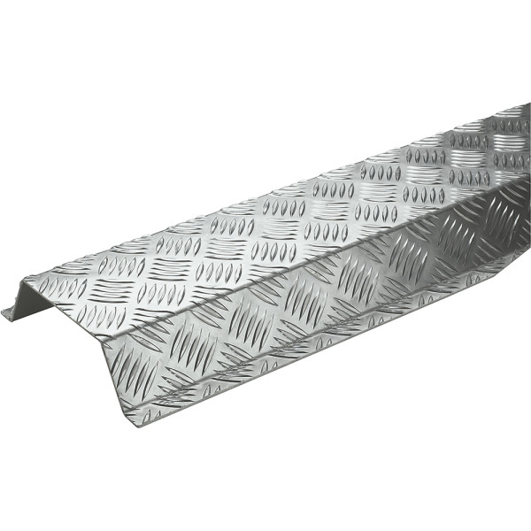 P31 dsc passage de sol hauteur 25mm- largeur 100mm- longueur 2 m - finition aluminium