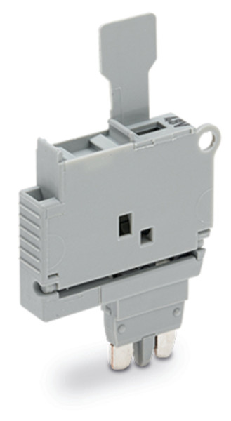 Topjob's fiche à fusible 5x20 / 6,1mm / gris / affichage défaut / 30-65v