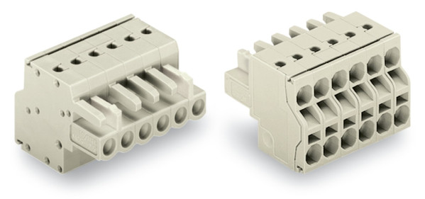 Connecteur femelle pour 2 conducteur 100% protégé contre l'inversion, gris clair