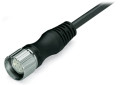 Câble connexion - 12 pôles - m23 femelle droit - extrémité libre - 5 m