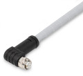 Câble d'alimentation - m12 femelle coudé - extrémité libre - 7.5m